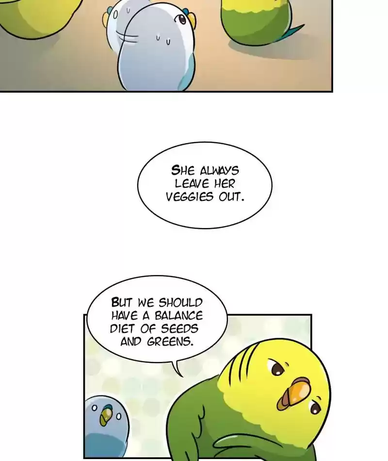 A Budgie's Life Chapter 272: Ep.271: