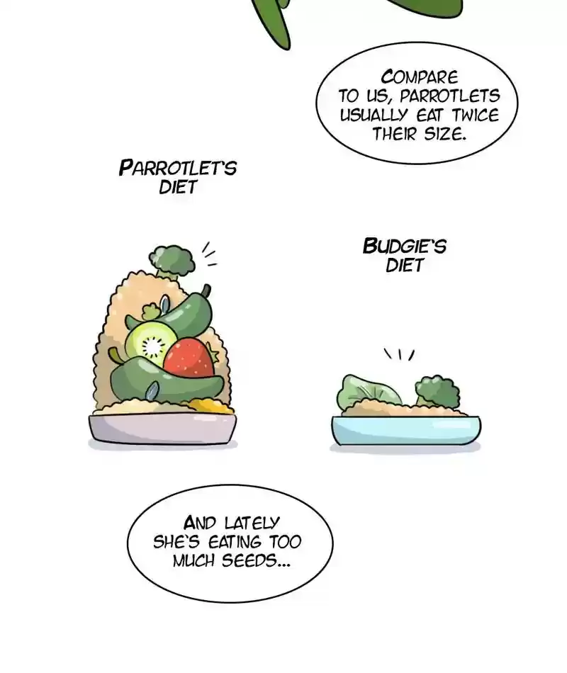 A Budgie's Life Chapter 272: Ep.271: