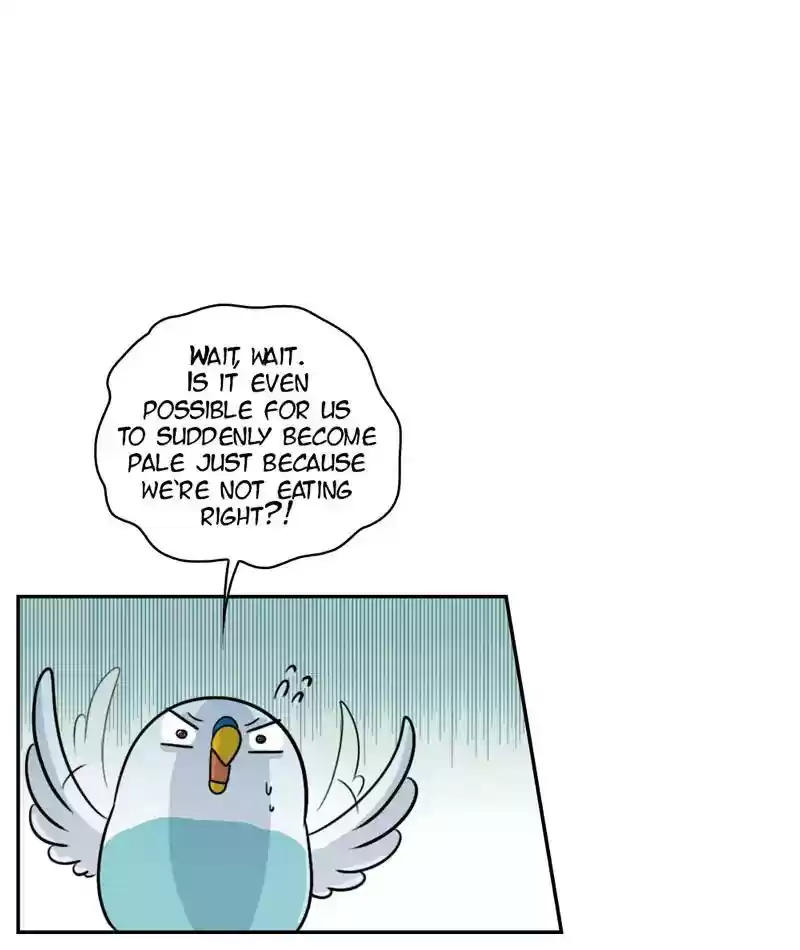 A Budgie's Life Chapter 272: Ep.271: