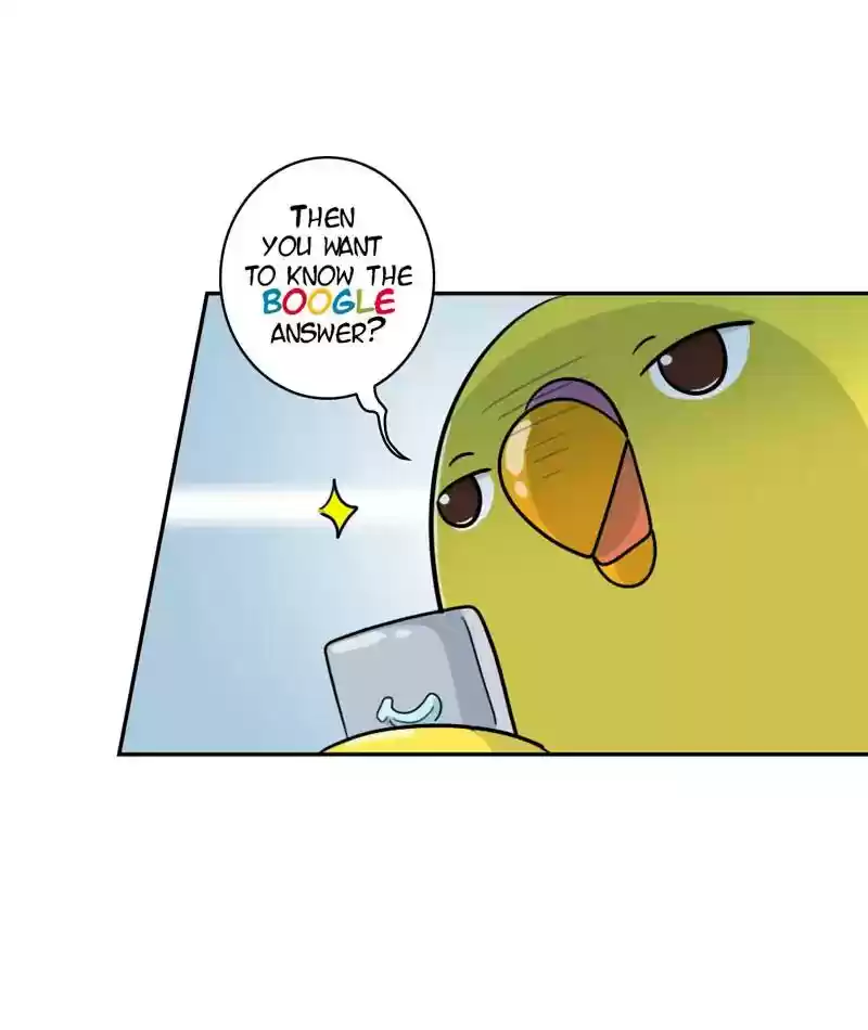 A Budgie's Life Chapter 272: Ep.271: