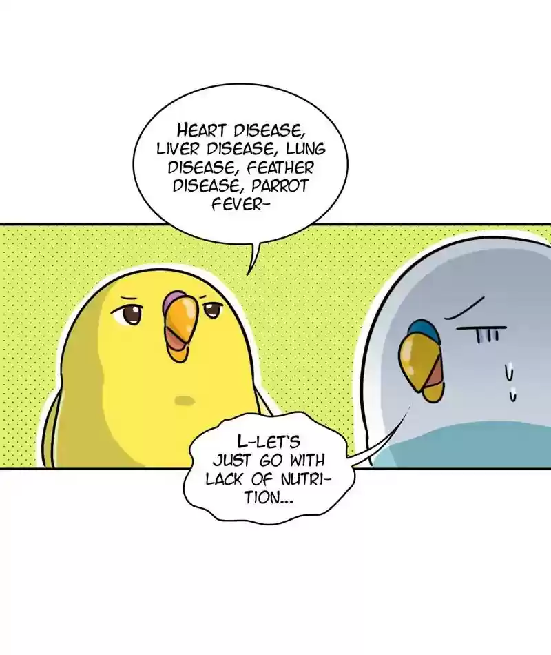 A Budgie's Life Chapter 272: Ep.271: