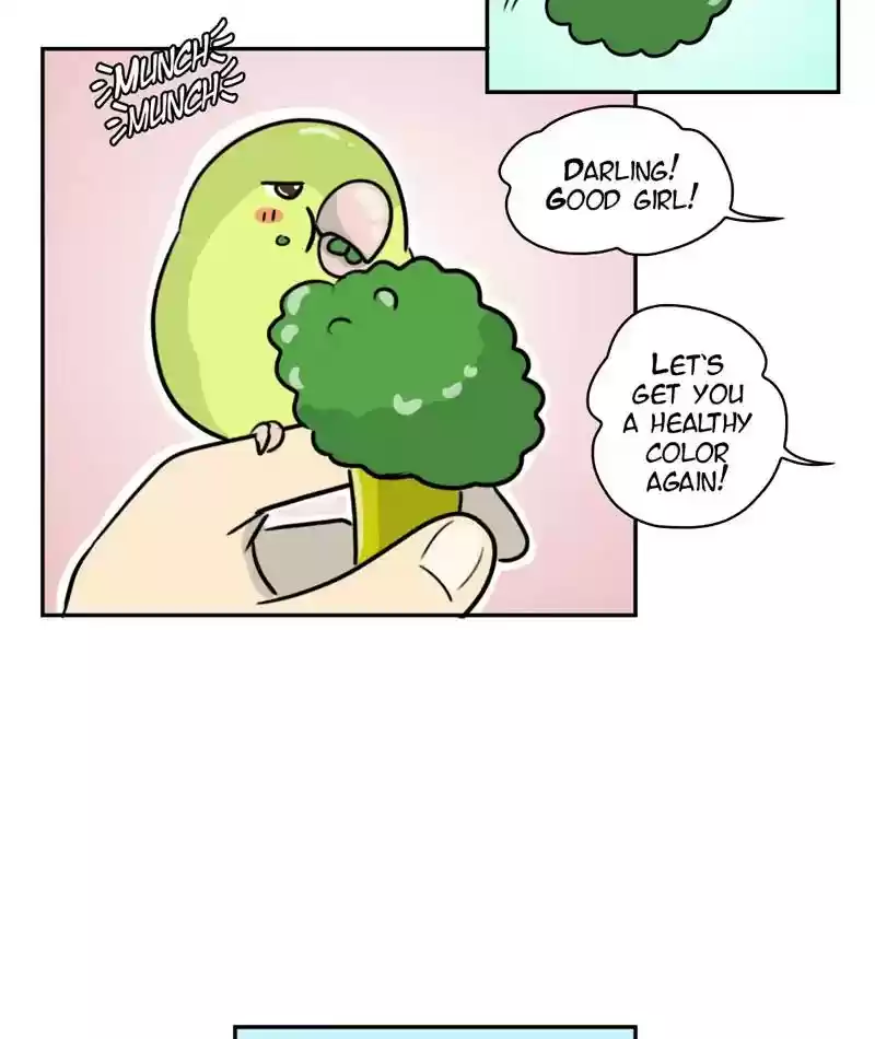 A Budgie's Life Chapter 272: Ep.271: