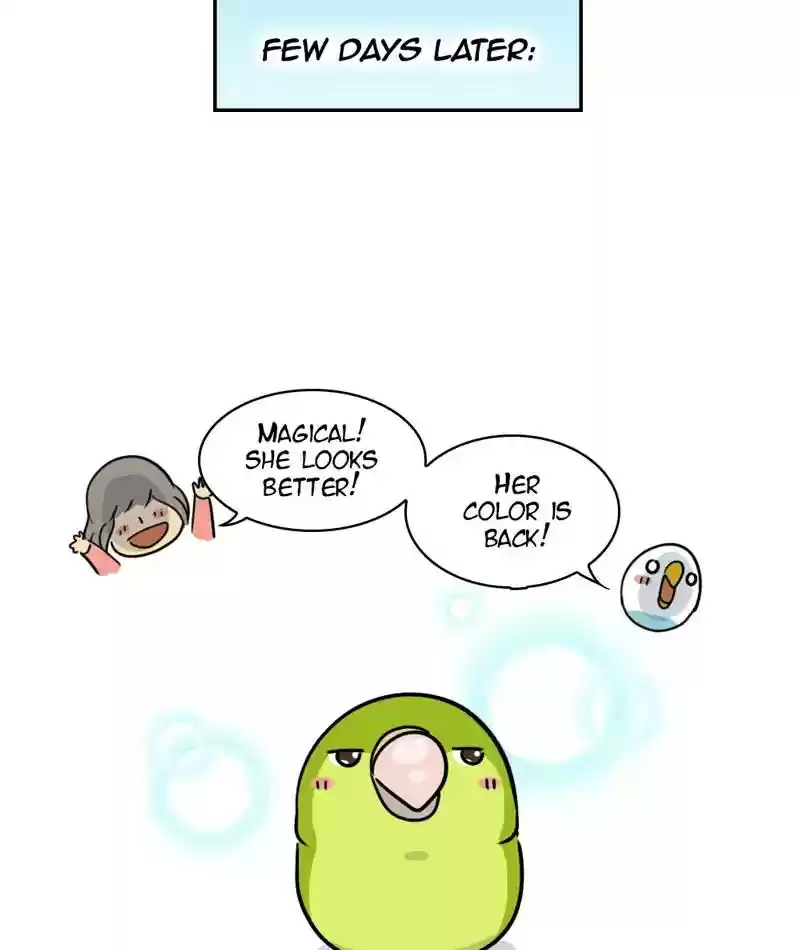 A Budgie's Life Chapter 272: Ep.271: