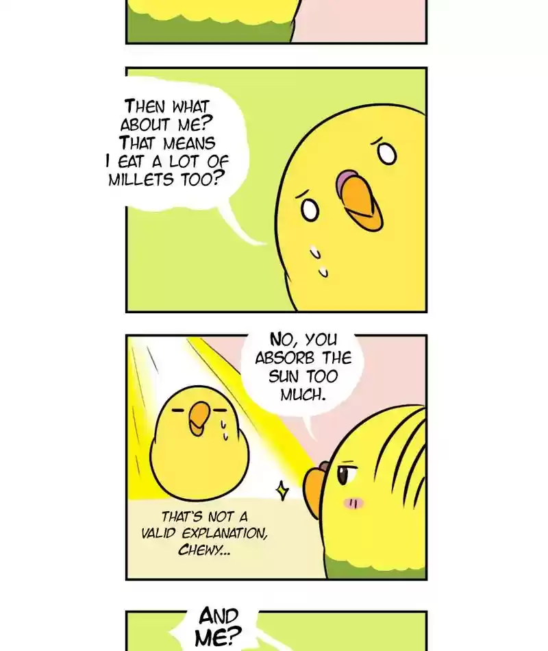 A Budgie's Life Chapter 272: Ep.271: