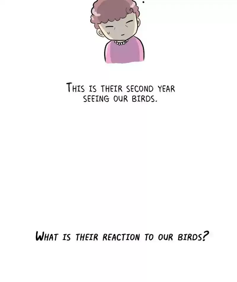 A Budgie's Life Chapter 273: Ep.272: