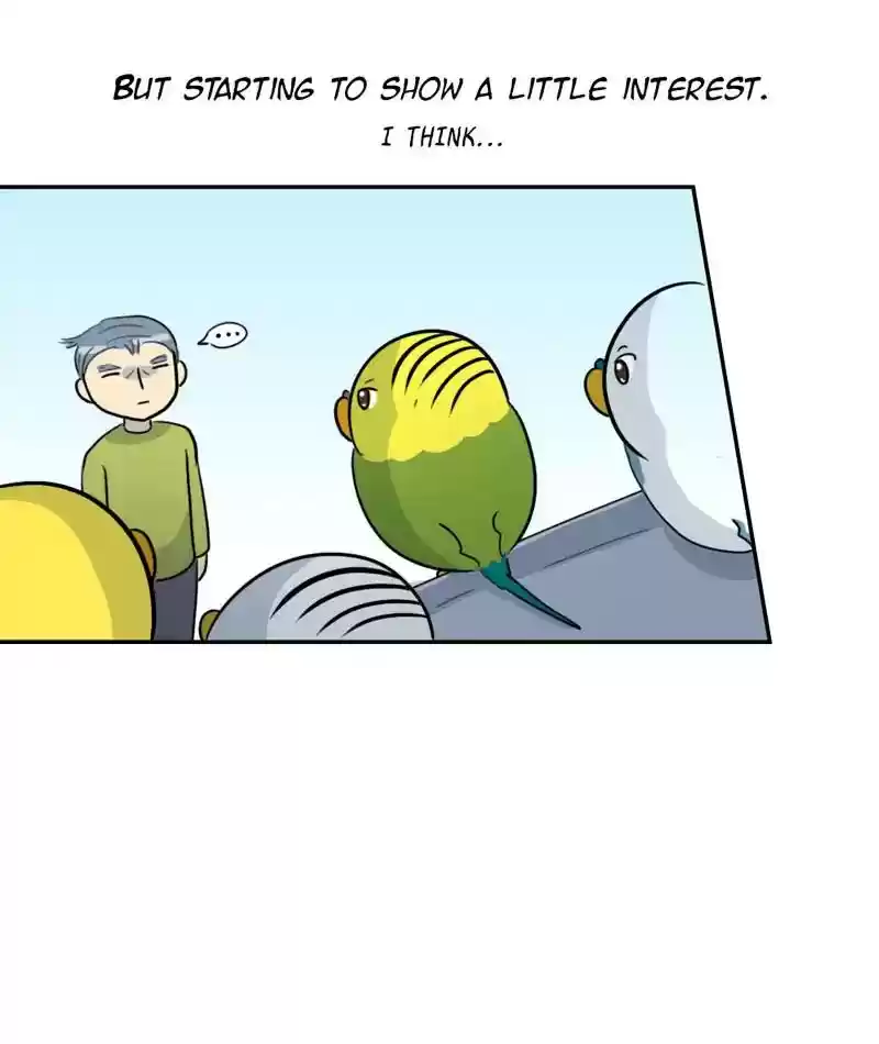 A Budgie's Life Chapter 273: Ep.272: