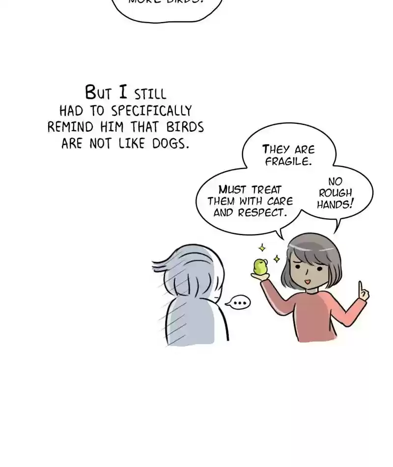 A Budgie's Life Chapter 273: Ep.272: