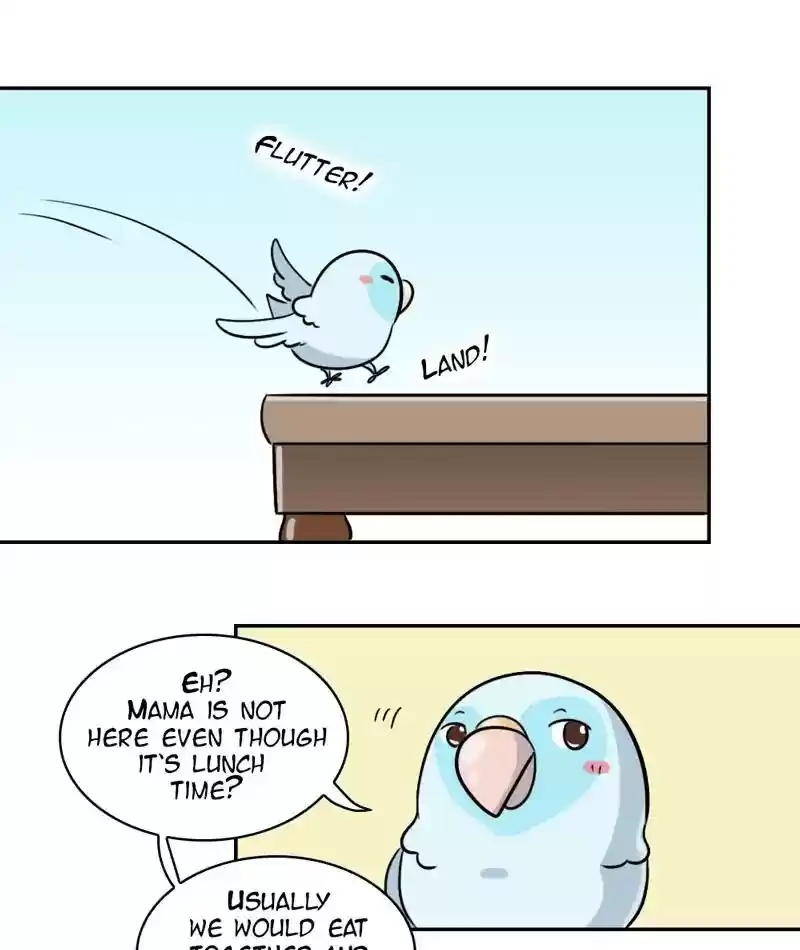 A Budgie's Life Chapter 273: Ep.272: