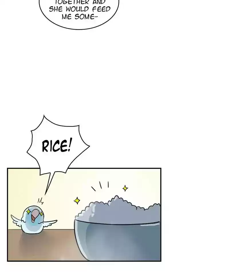 A Budgie's Life Chapter 273: Ep.272: