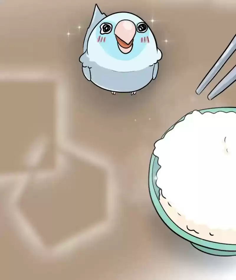 A Budgie's Life Chapter 273: Ep.272: