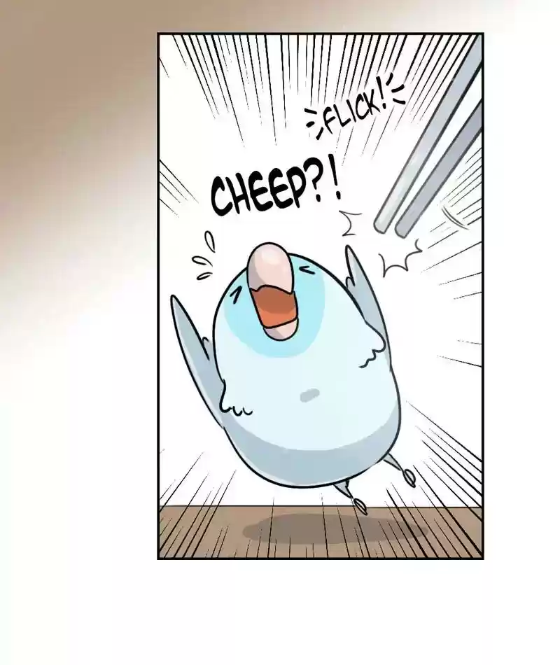 A Budgie's Life Chapter 273: Ep.272: