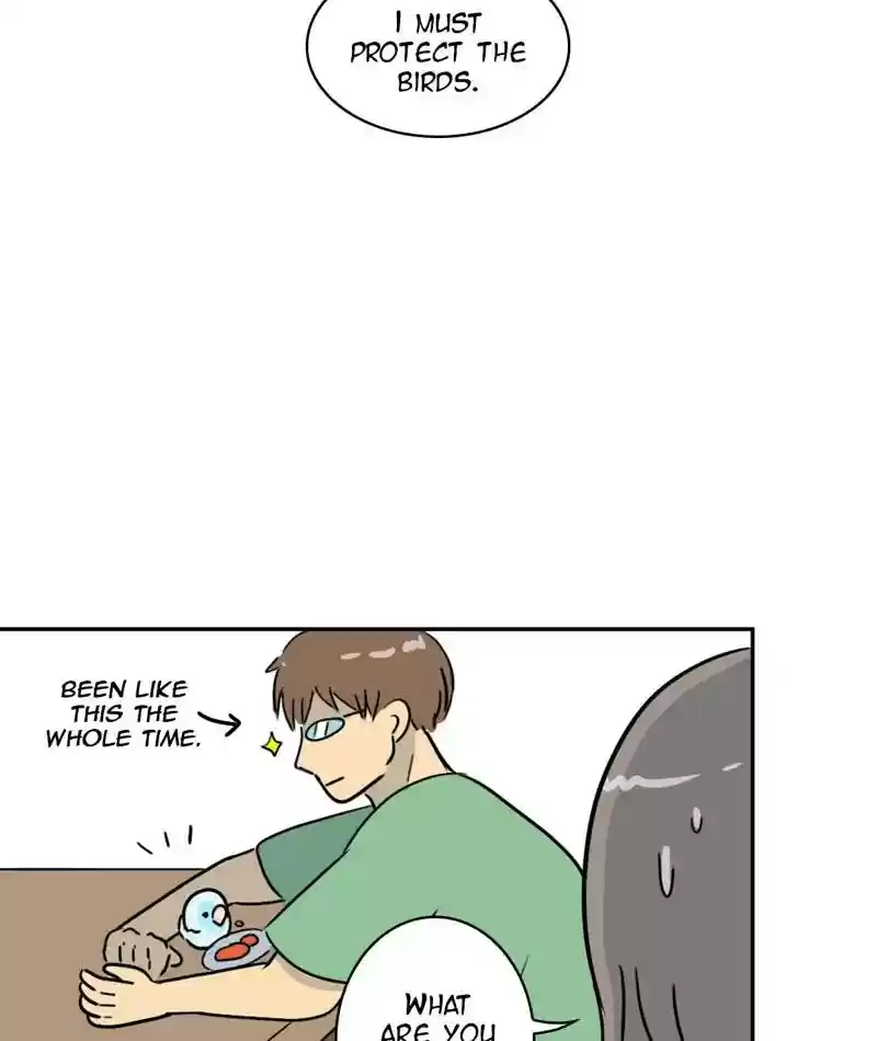 A Budgie's Life Chapter 273: Ep.272: