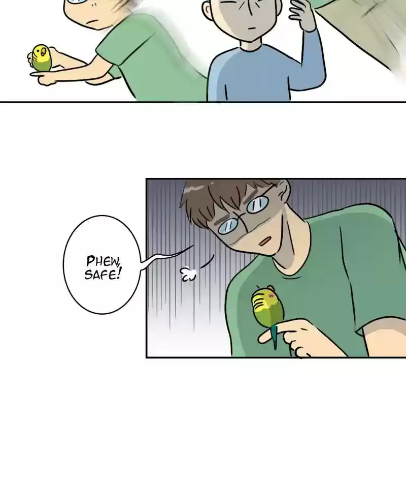 A Budgie's Life Chapter 273: Ep.272: