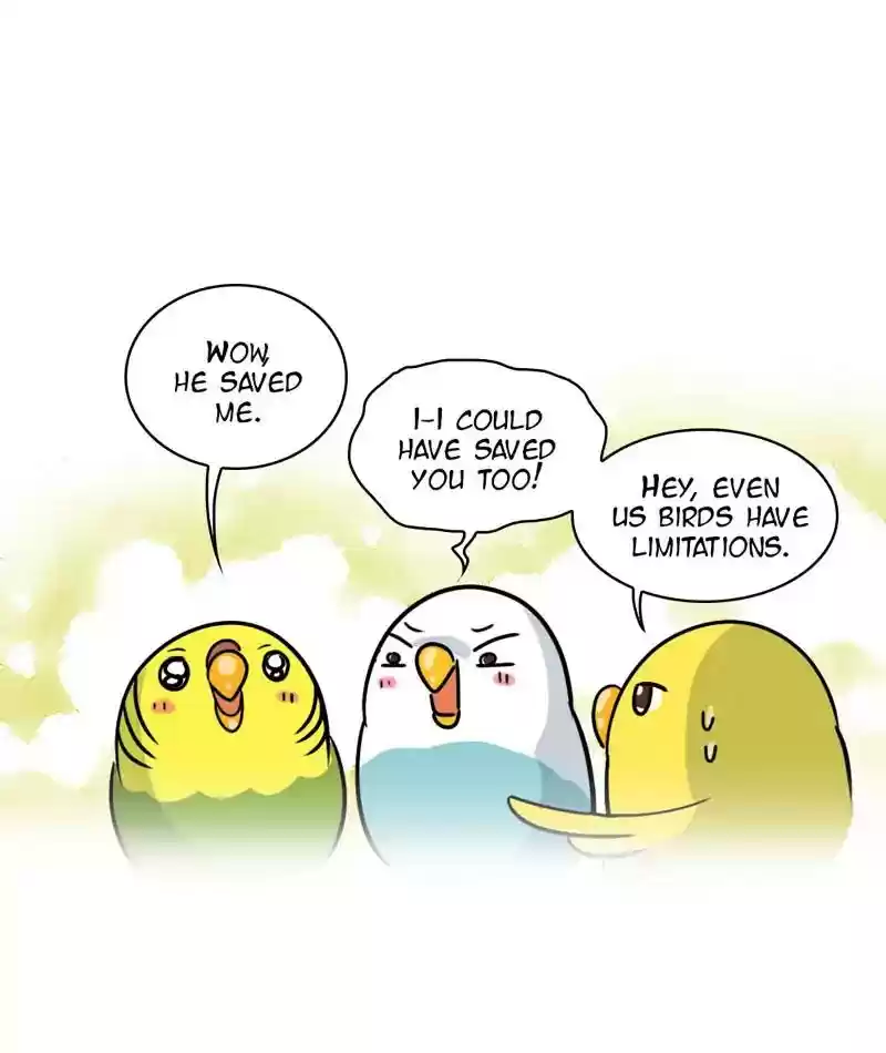 A Budgie's Life Chapter 273: Ep.272: