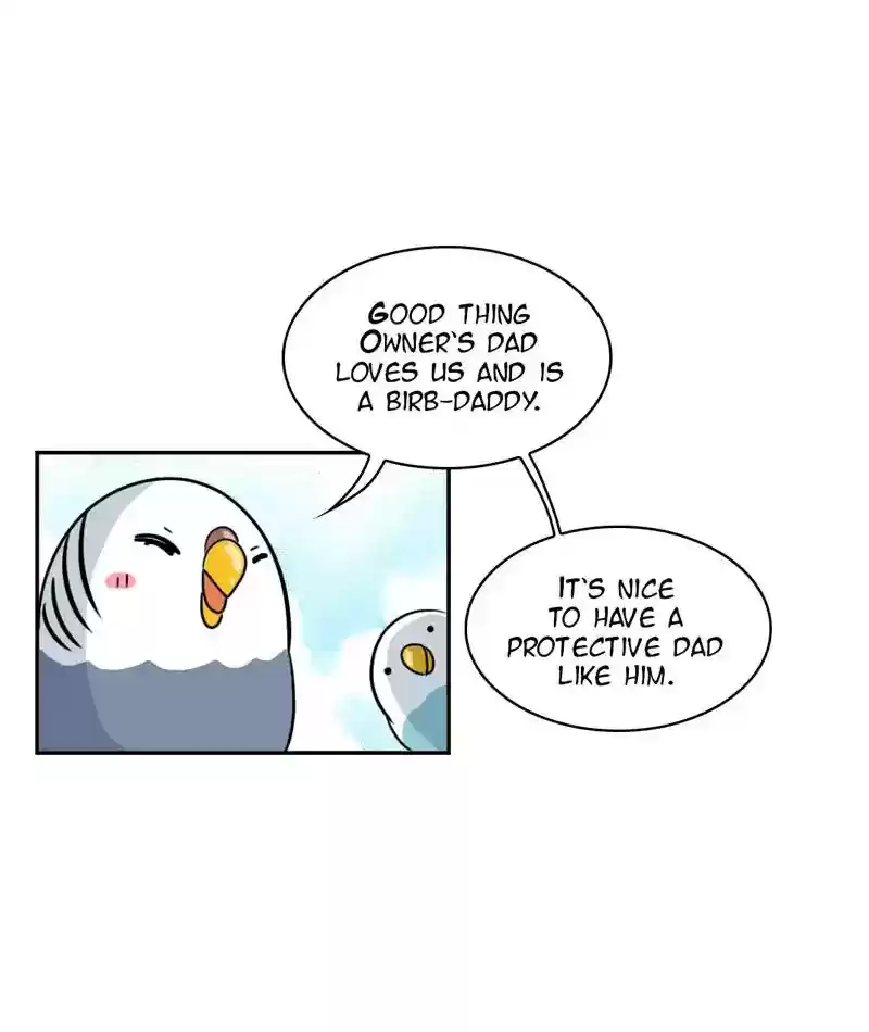 A Budgie's Life Chapter 273: Ep.272: