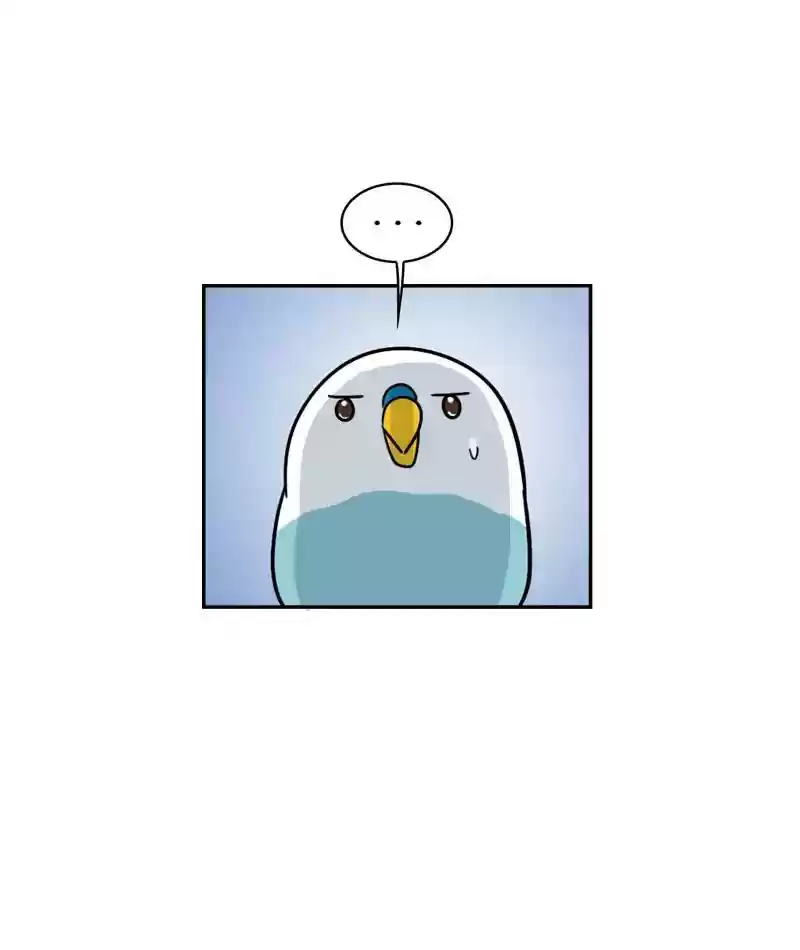 A Budgie's Life Chapter 273: Ep.272: