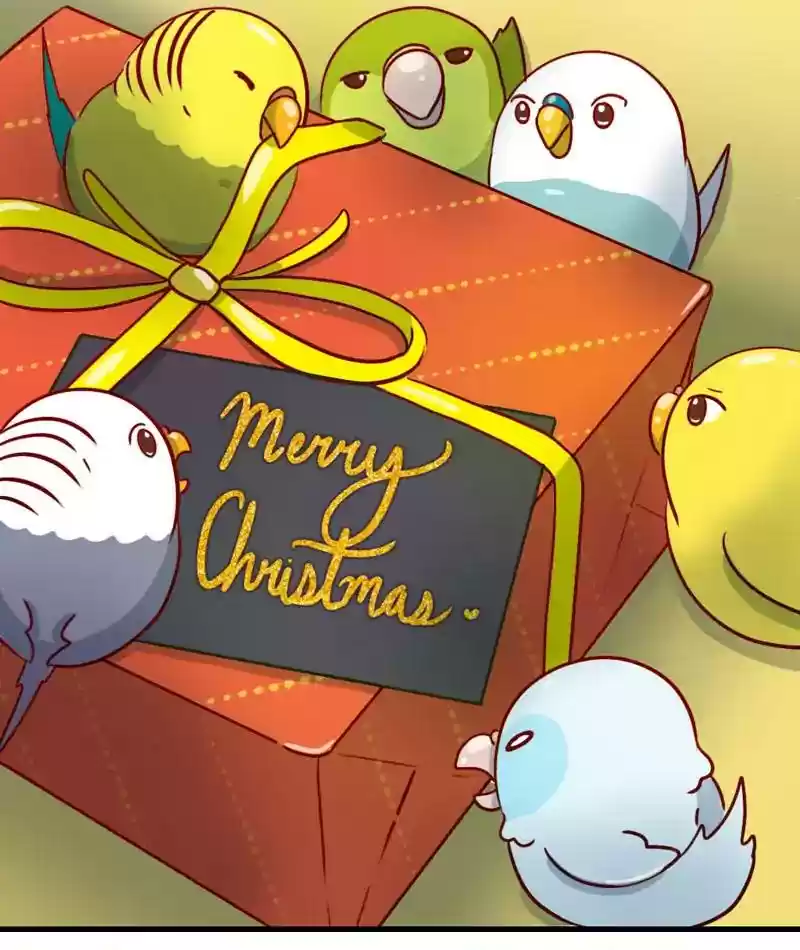 A Budgie's Life Chapter 274: Ep.273: