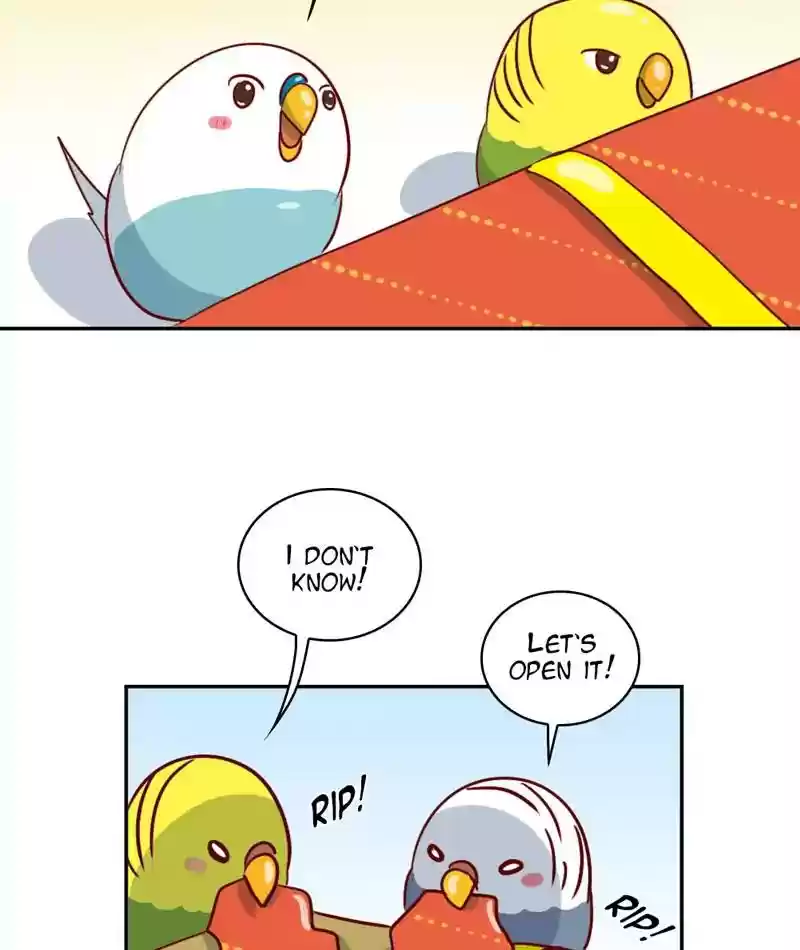 A Budgie's Life Chapter 274: Ep.273: