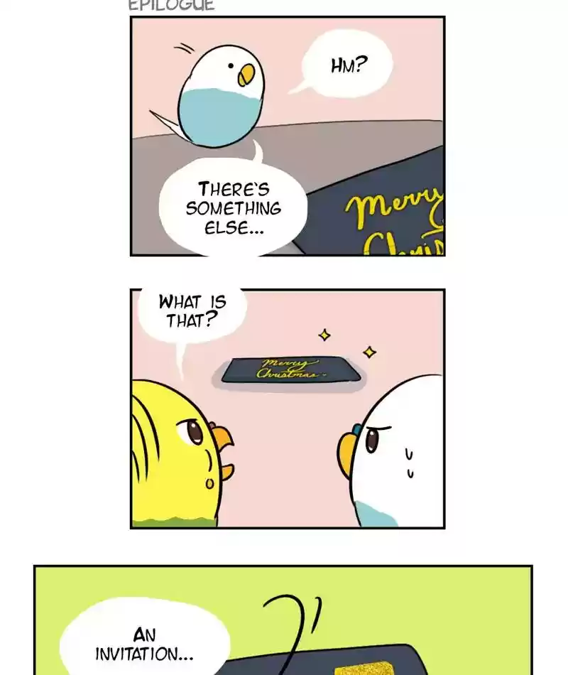 A Budgie's Life Chapter 274: Ep.273: