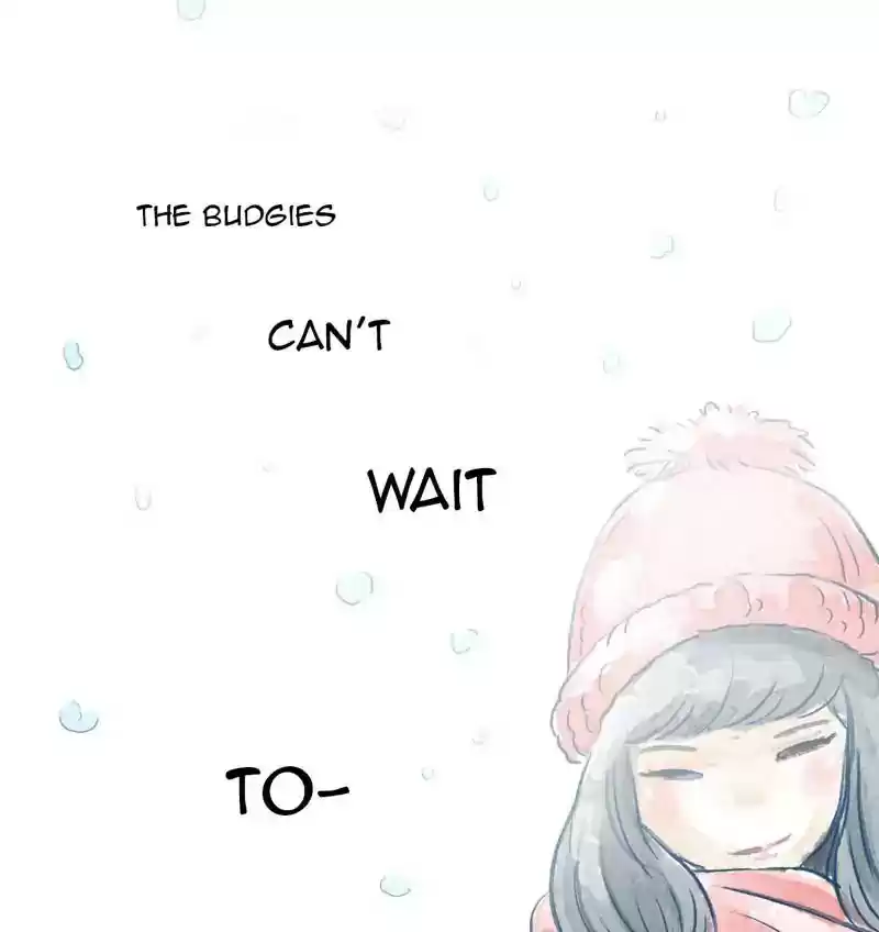 A Budgie's Life Chapter 275: Ep.274: