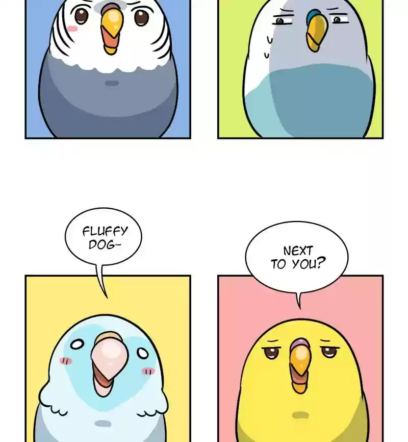 A Budgie's Life Chapter 276: Ep.275: