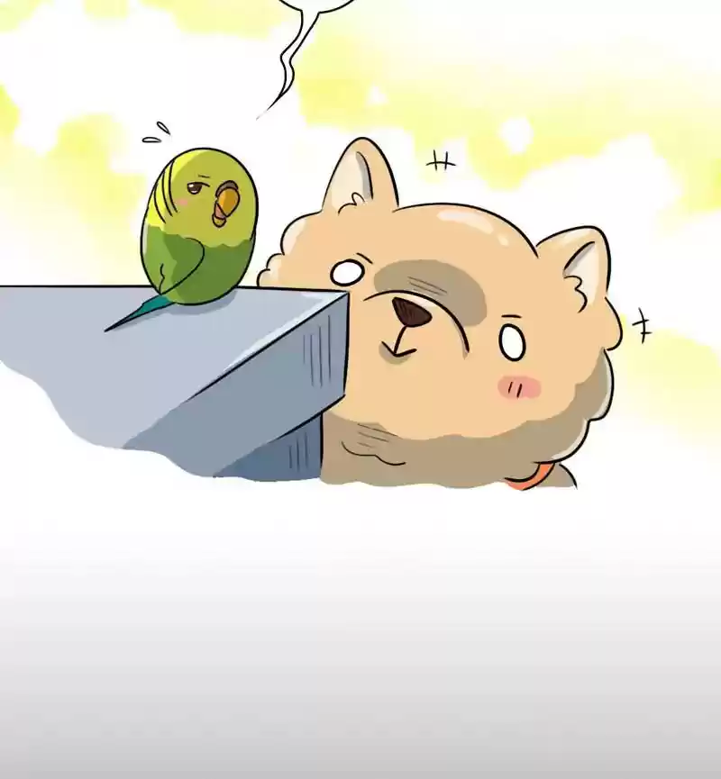 A Budgie's Life Chapter 276: Ep.275: