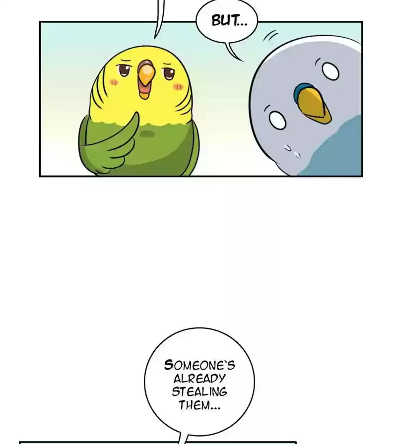 A Budgie's Life Chapter 276: Ep.275: