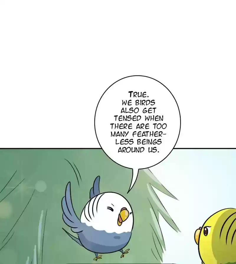 A Budgie's Life Chapter 276: Ep.275: