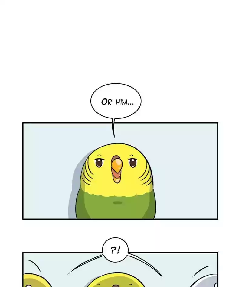 A Budgie's Life Chapter 276: Ep.275: