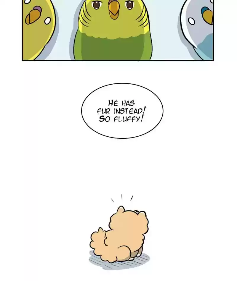 A Budgie's Life Chapter 276: Ep.275: