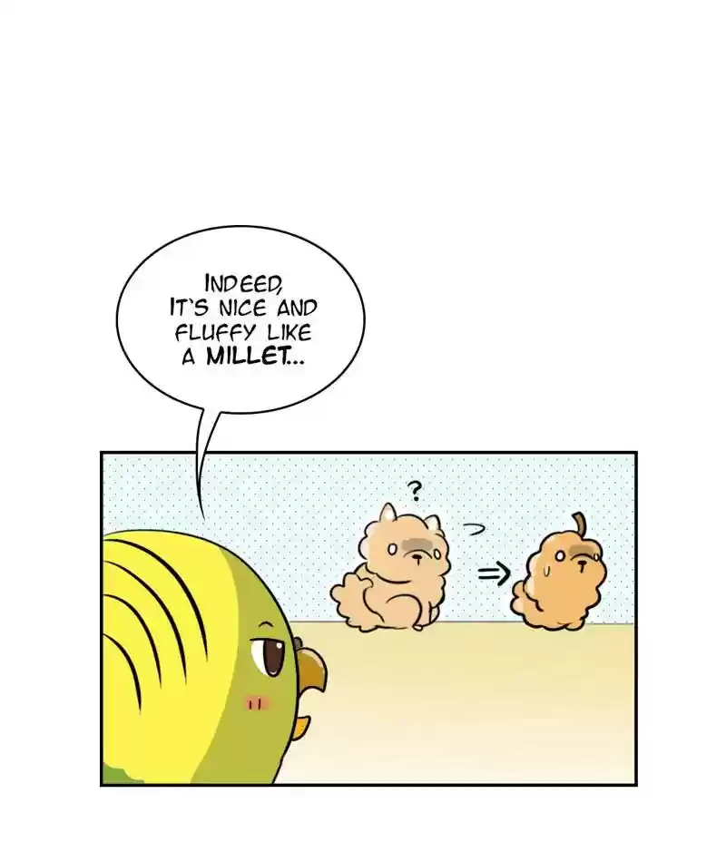 A Budgie's Life Chapter 276: Ep.275: