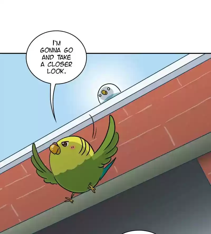 A Budgie's Life Chapter 276: Ep.275: