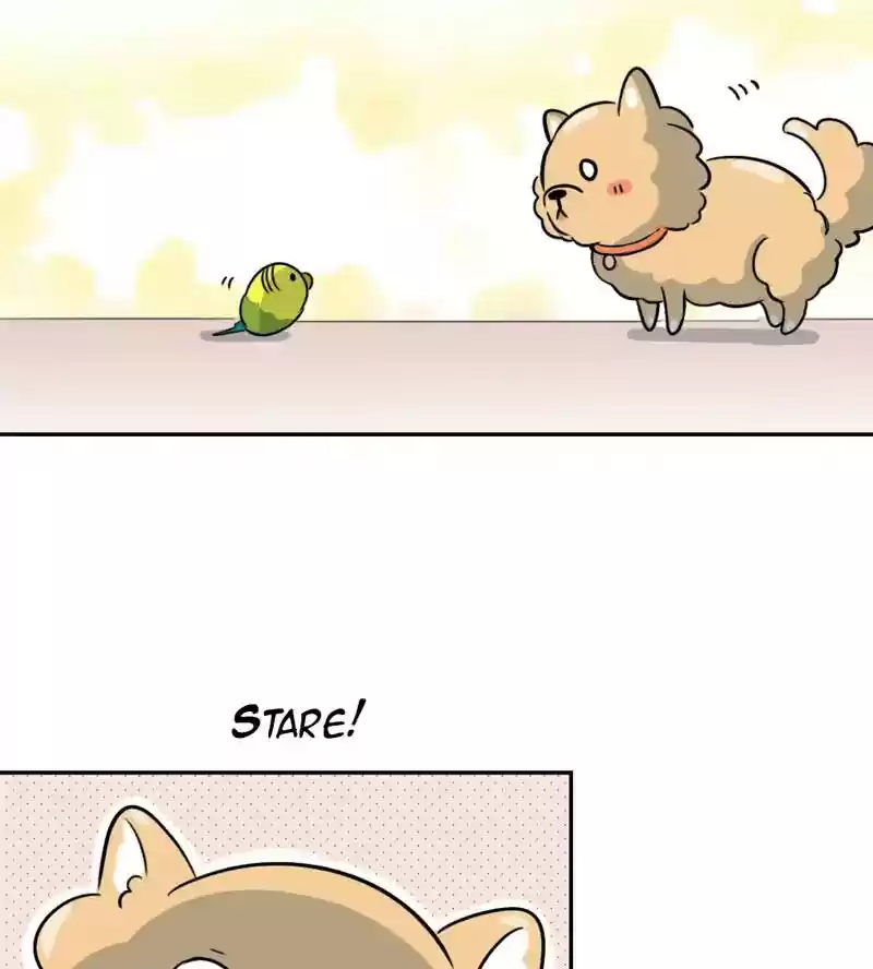 A Budgie's Life Chapter 276: Ep.275: