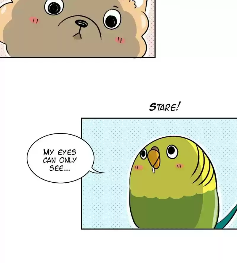 A Budgie's Life Chapter 276: Ep.275: