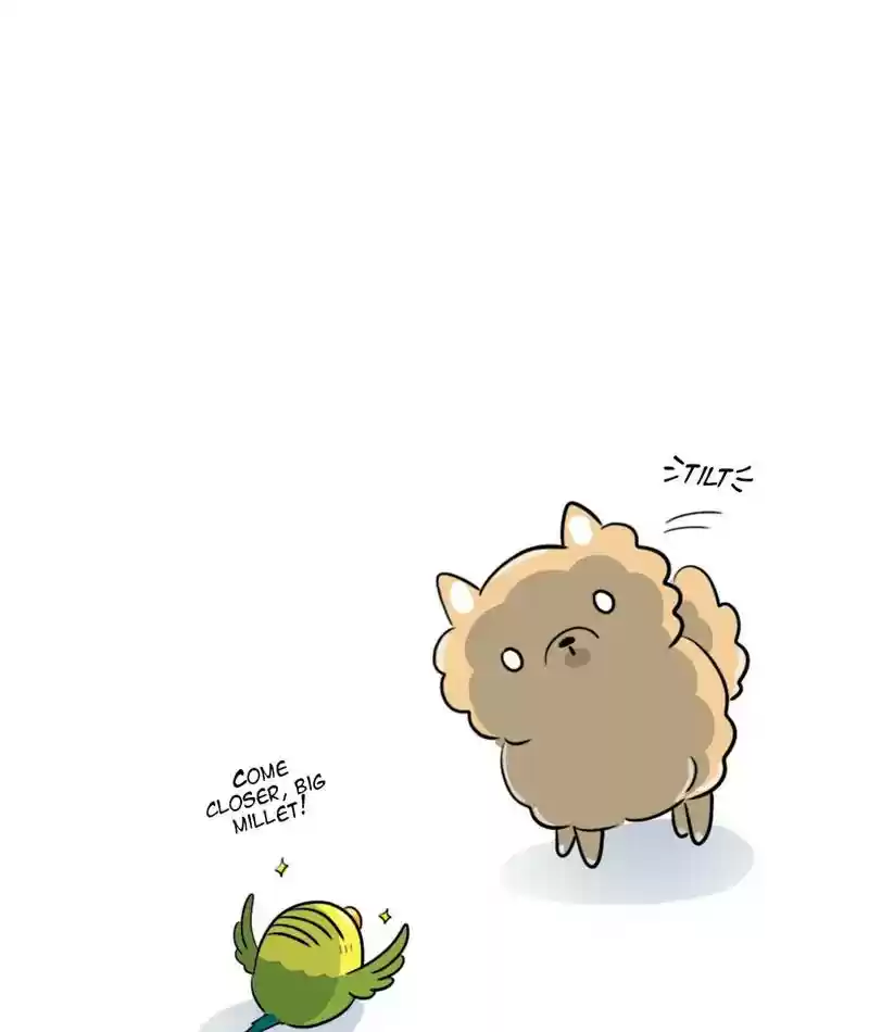 A Budgie's Life Chapter 276: Ep.275: