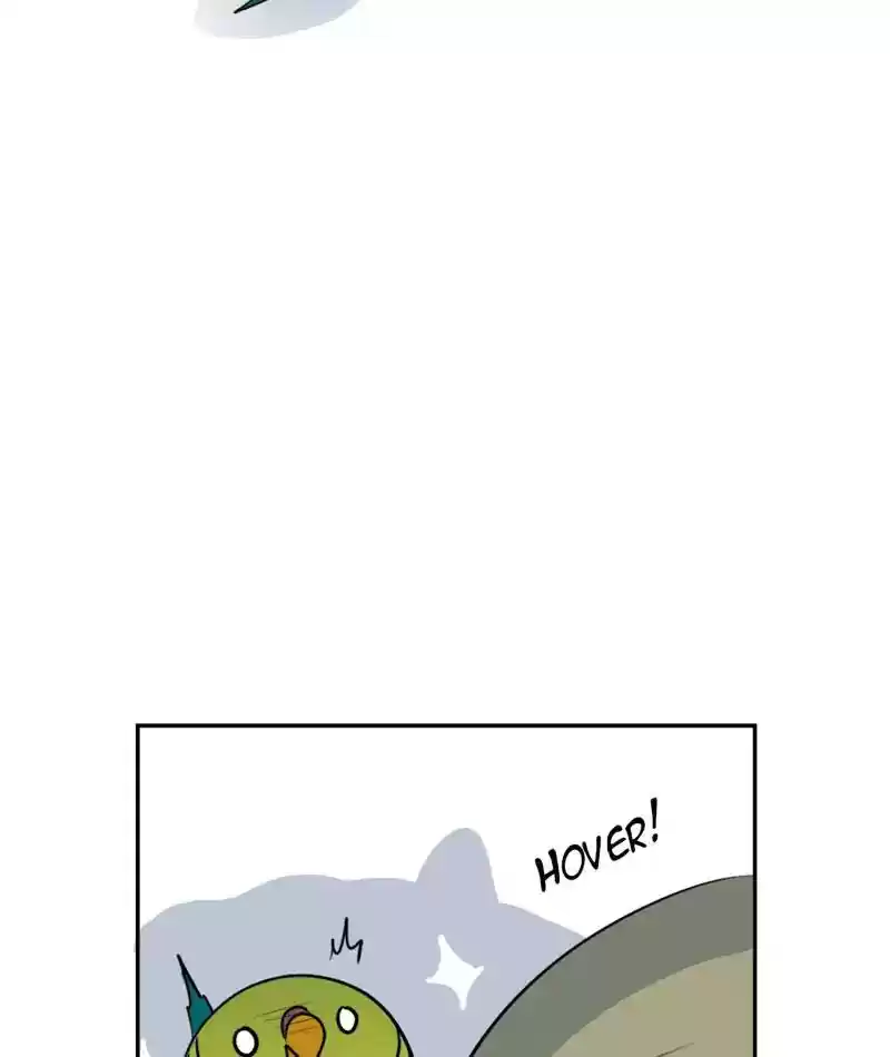 A Budgie's Life Chapter 276: Ep.275: