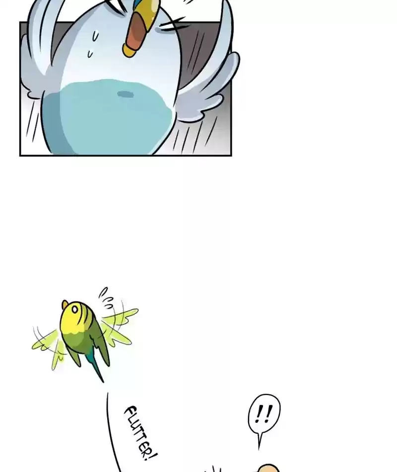 A Budgie's Life Chapter 276: Ep.275: