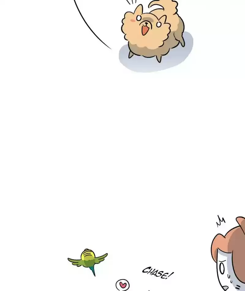 A Budgie's Life Chapter 276: Ep.275: