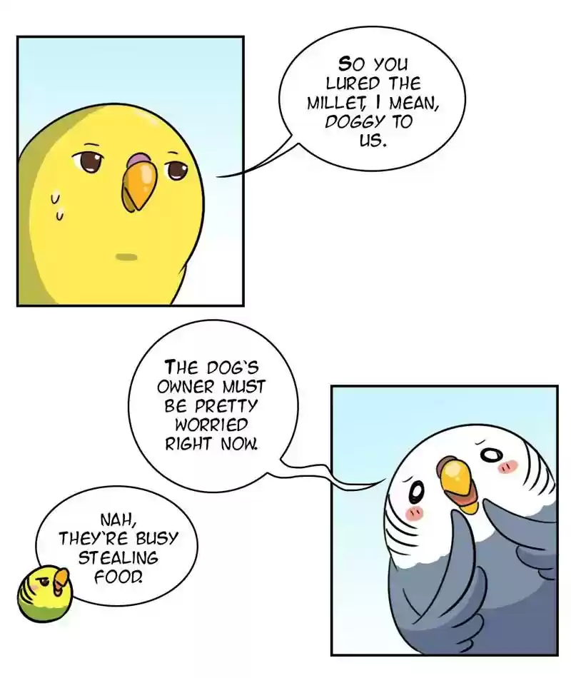 A Budgie's Life Chapter 276: Ep.275: