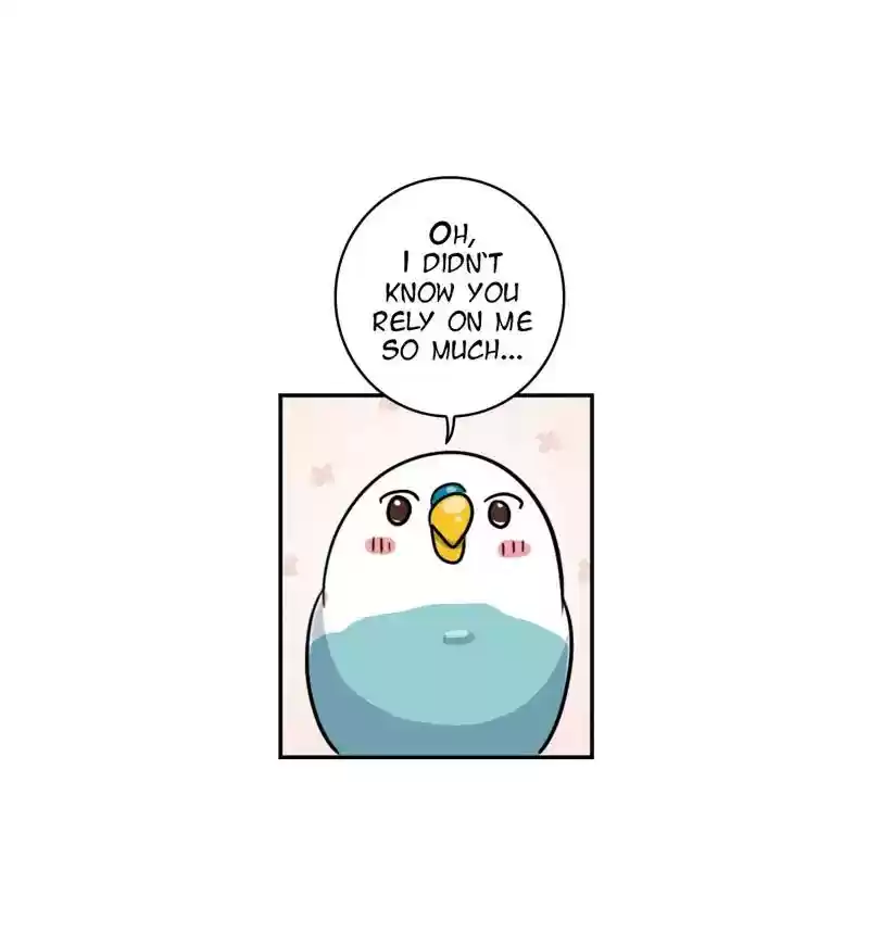 A Budgie's Life Chapter 276: Ep.275: