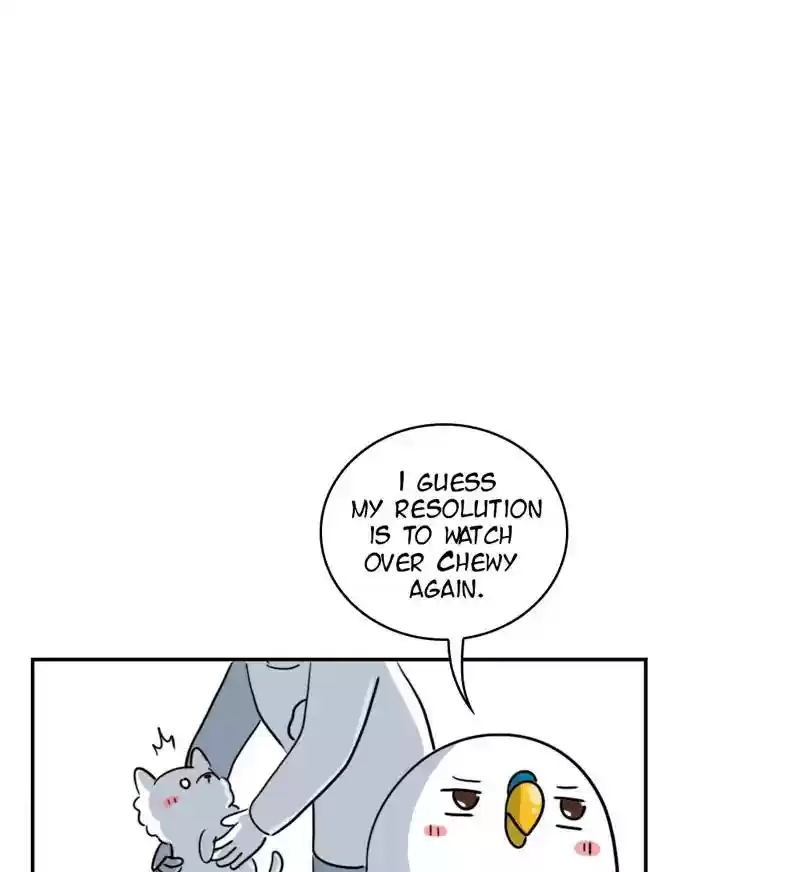 A Budgie's Life Chapter 276: Ep.275: