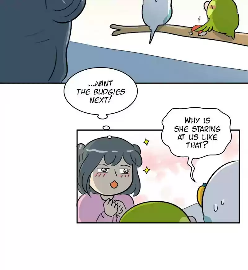 A Budgie's Life Chapter 276: Ep.275: