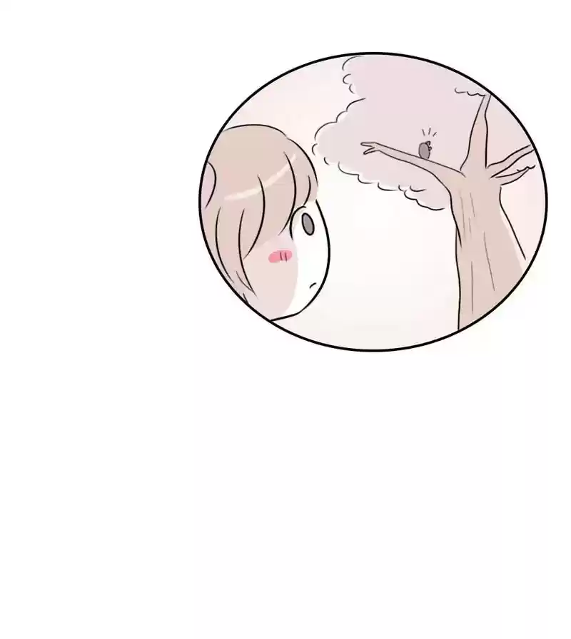 A Budgie's Life Chapter 277: Ep.276: