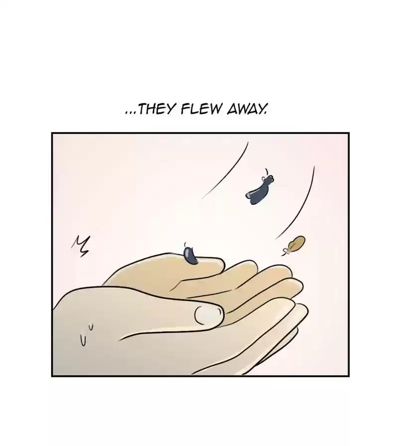 A Budgie's Life Chapter 277: Ep.276: