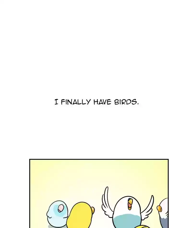 A Budgie's Life Chapter 277: Ep.276: