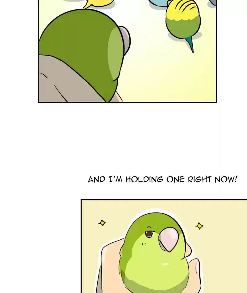 A Budgie's Life Chapter 277: Ep.276: