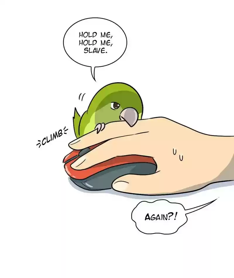 A Budgie's Life Chapter 277: Ep.276: