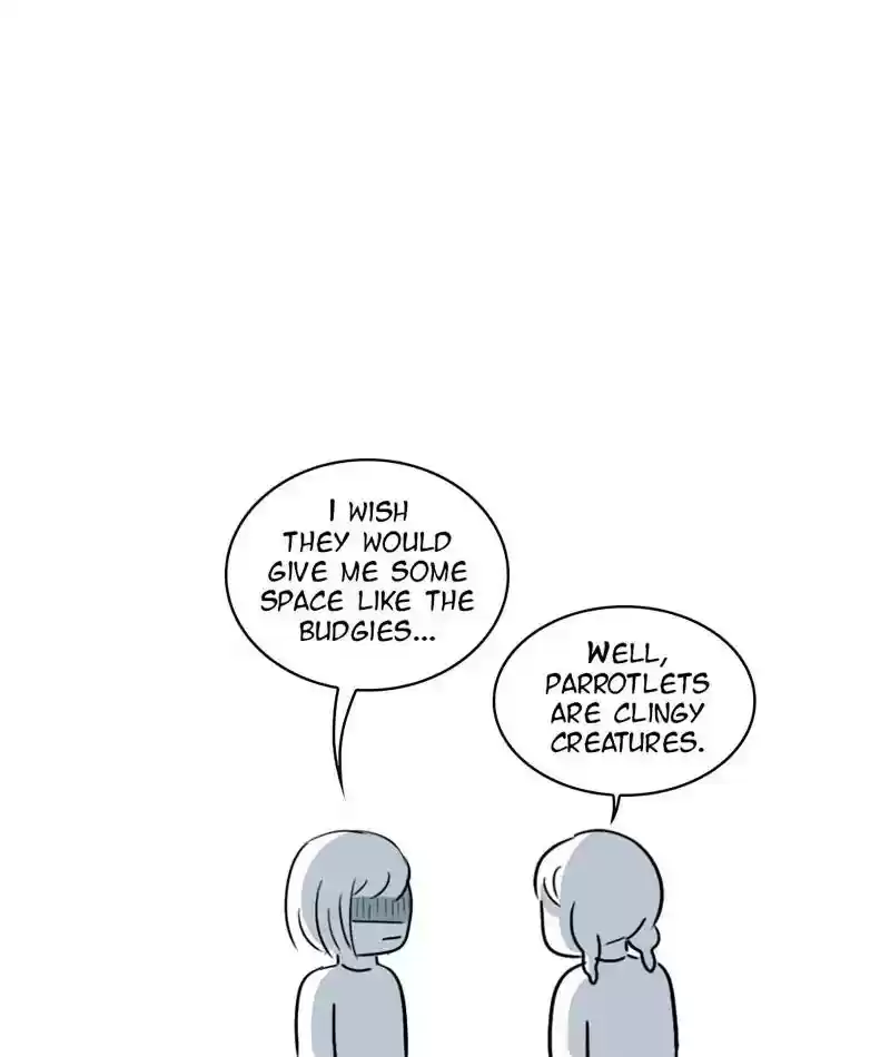 A Budgie's Life Chapter 277: Ep.276: