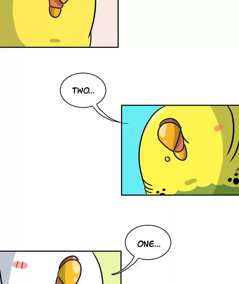 A Budgie's Life Chapter 278: Ep.277: