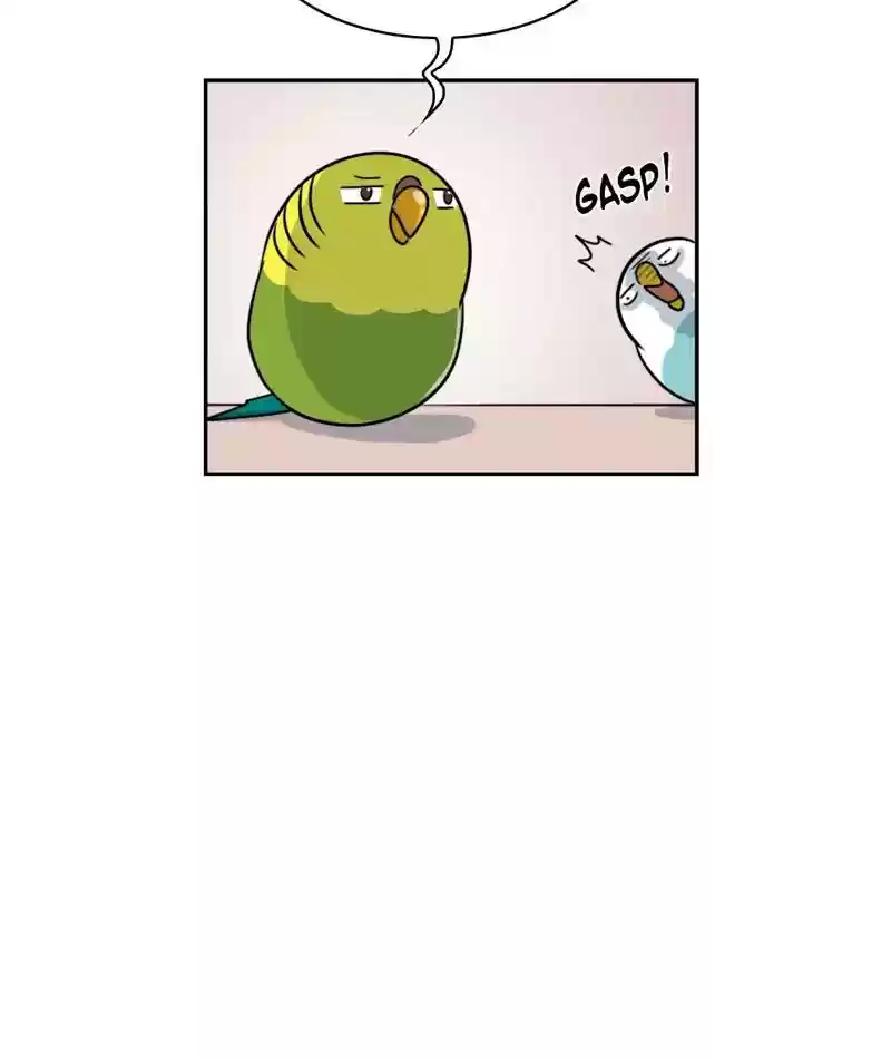A Budgie's Life Chapter 278: Ep.277: